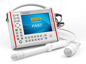 The portable ultrasound scanner is ideal for use in emergency medicine, military medicine, including disaster medicine. Intended for the first on-site diagnostic tests, FAST procedure. Designed for rapid diagnostics of the abdominal and pelvic organs through the body shell and for endovaginal and endorectal examinations
