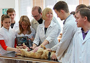 Ultrasonography – extracurricular courses in Russia