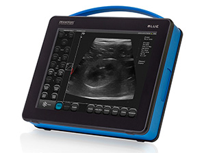 dramiński blue state-of-the-art portable veterinary ultrasound scanner