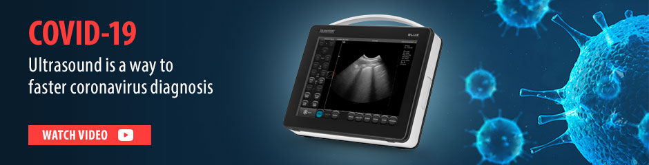  Diagnosing SARS-CoV-2 infection with lung ultrasound using DRAMINSKI BLUE